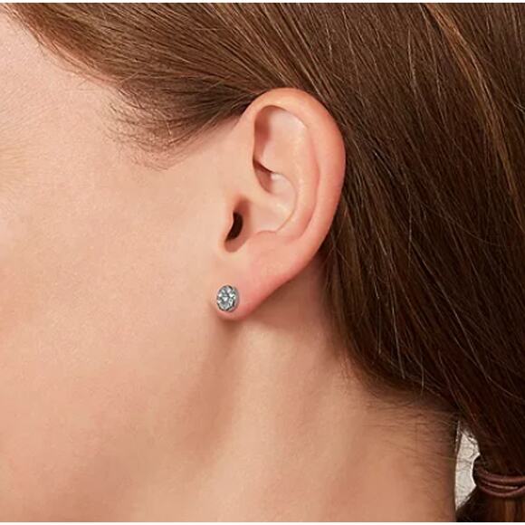 Fossil Ellis Disc Silver-Tone Stainless Steel Stud Earrings - NWT - Picture 3 of 5